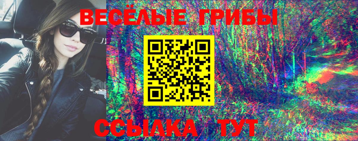 Псилоцибиновые грибы Psilocybe Алексин