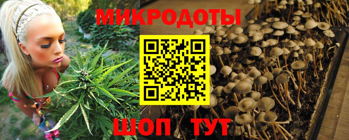 Псилоцибиновые грибы мухоморы  Псилоцибиновые грибы ЛСД  купить наркоту  Вход с VPN  Алексин 